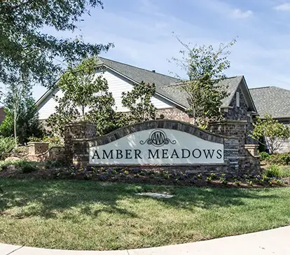 Amber Meadows